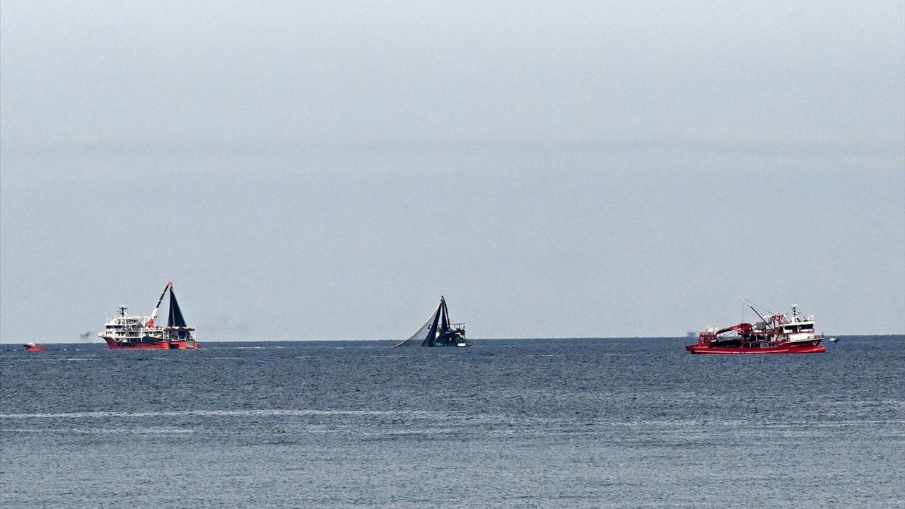 Doğu Karadeniz'de Palamut Avı Hızı Arttı