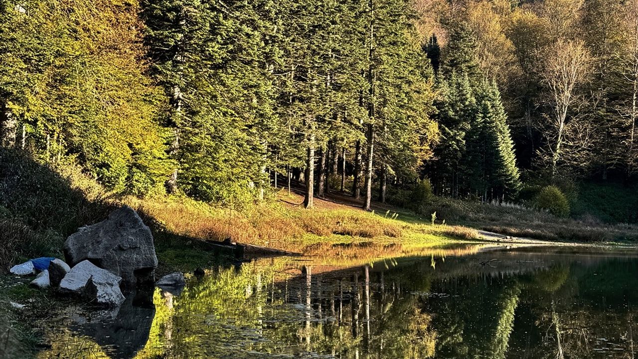 Düzce Torkul Göleti Sonbahar Aşkıyla Ziyaretçilerini Ağırlıyor