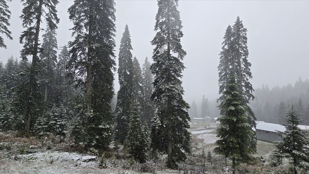 Düzce ve Bolu Yüksek Kesimlerinde Kar Yağışı Bekleniyor
