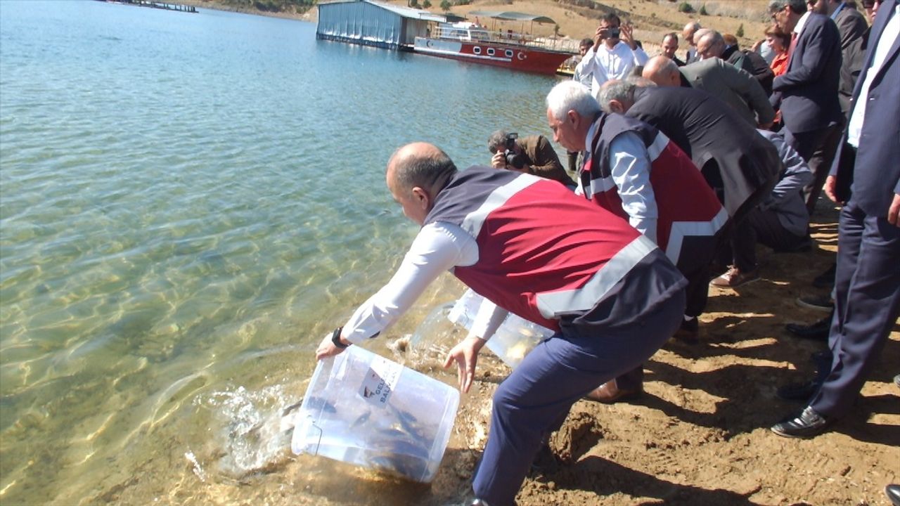 Elazığ'da 3 Milyon Sazan Yavrusu Su Kaynaklarına Bırakılacak