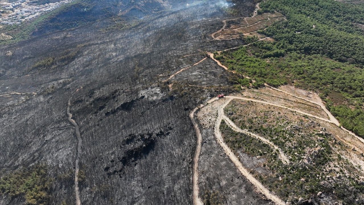 Foça'daki Yangın: Hava Görüntüleriyle Hasar Tespiti