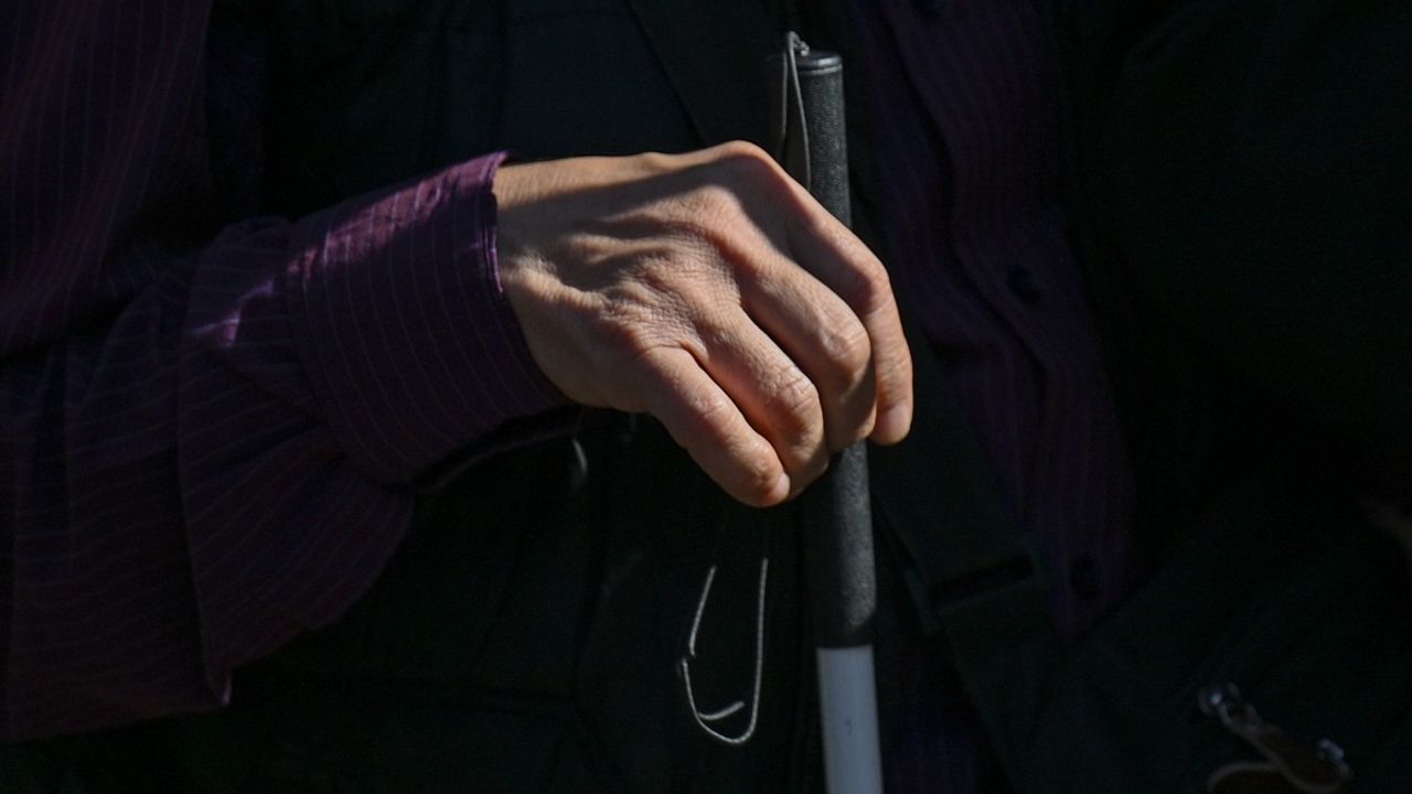 Görme Engelliler TBMM Önünde Sorunlarını Dile Getirdi