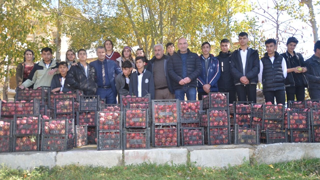 Hakkari'de Tarım Öğrencileri Elma Hasadı Yaptı