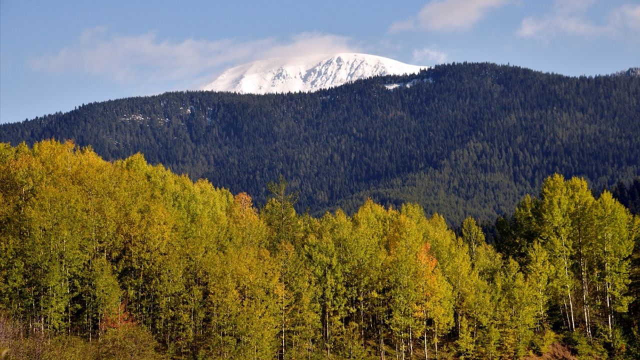 Ilgaz Dağı'nda Kış ve Sonbahar Bir Arada