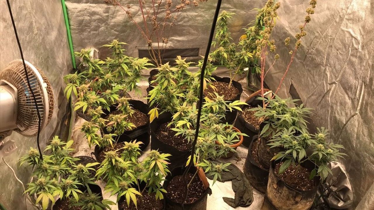 Kağıthane'de Uyuşturucu Ticareti Yaparken Yakalanan Şüpheli Tutuklandı