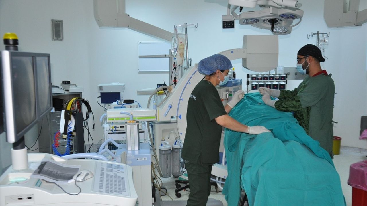 Kanseri Yenen 81 Yaşındaki Kadın, Kemik Çimentosu Tedavisiyle Yeniden Yürüyor