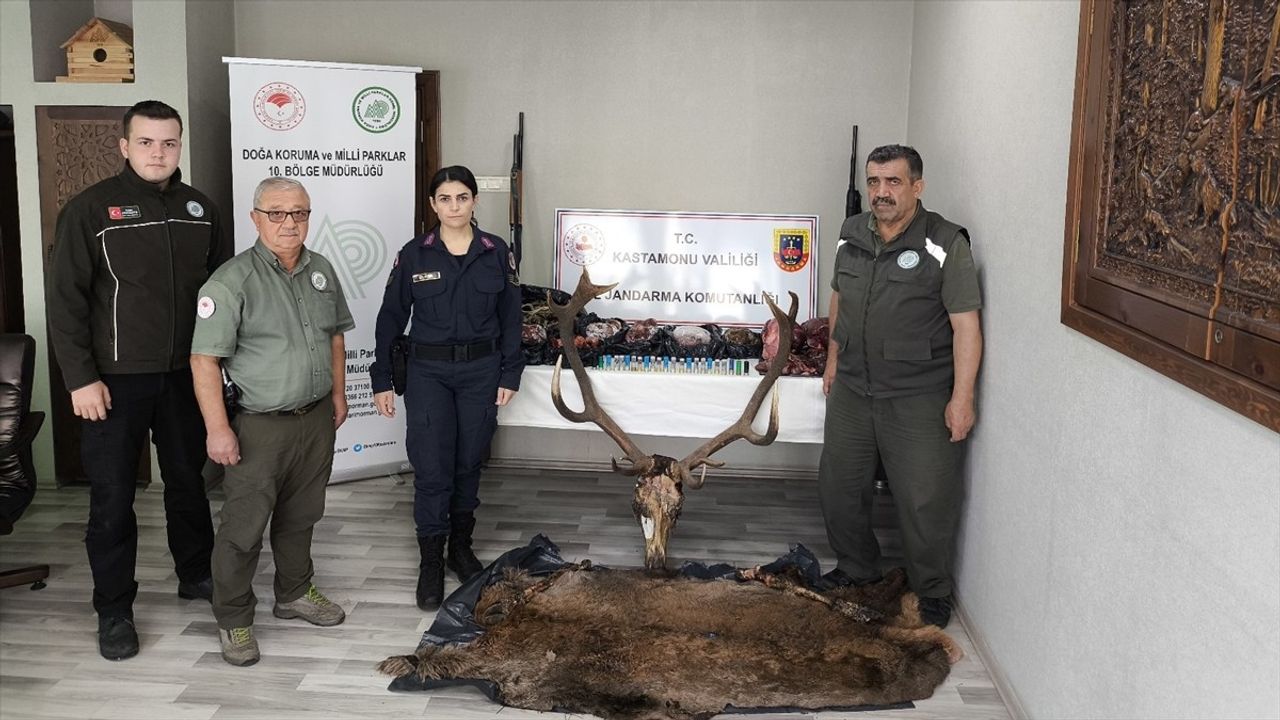 Kastamonu'da Kaçak Avcılara Büyük Ceza