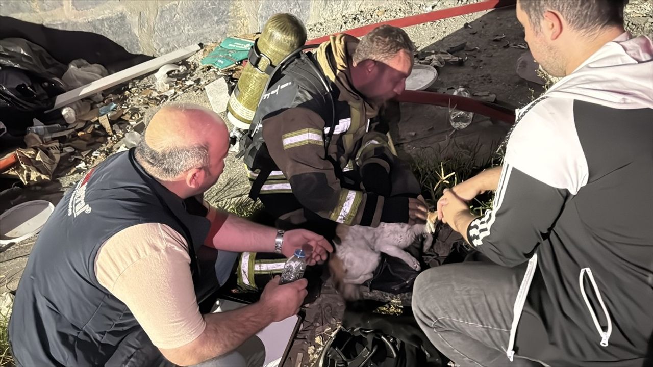 Kocaeli İzmit'teki Pansiyon Yangını Kontrol Altına Alındı