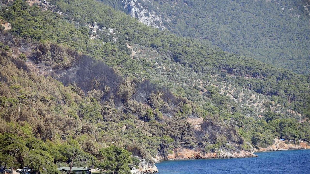 Menteşe'deki Orman Yangını Kısmen Kontrol Altına Alındı