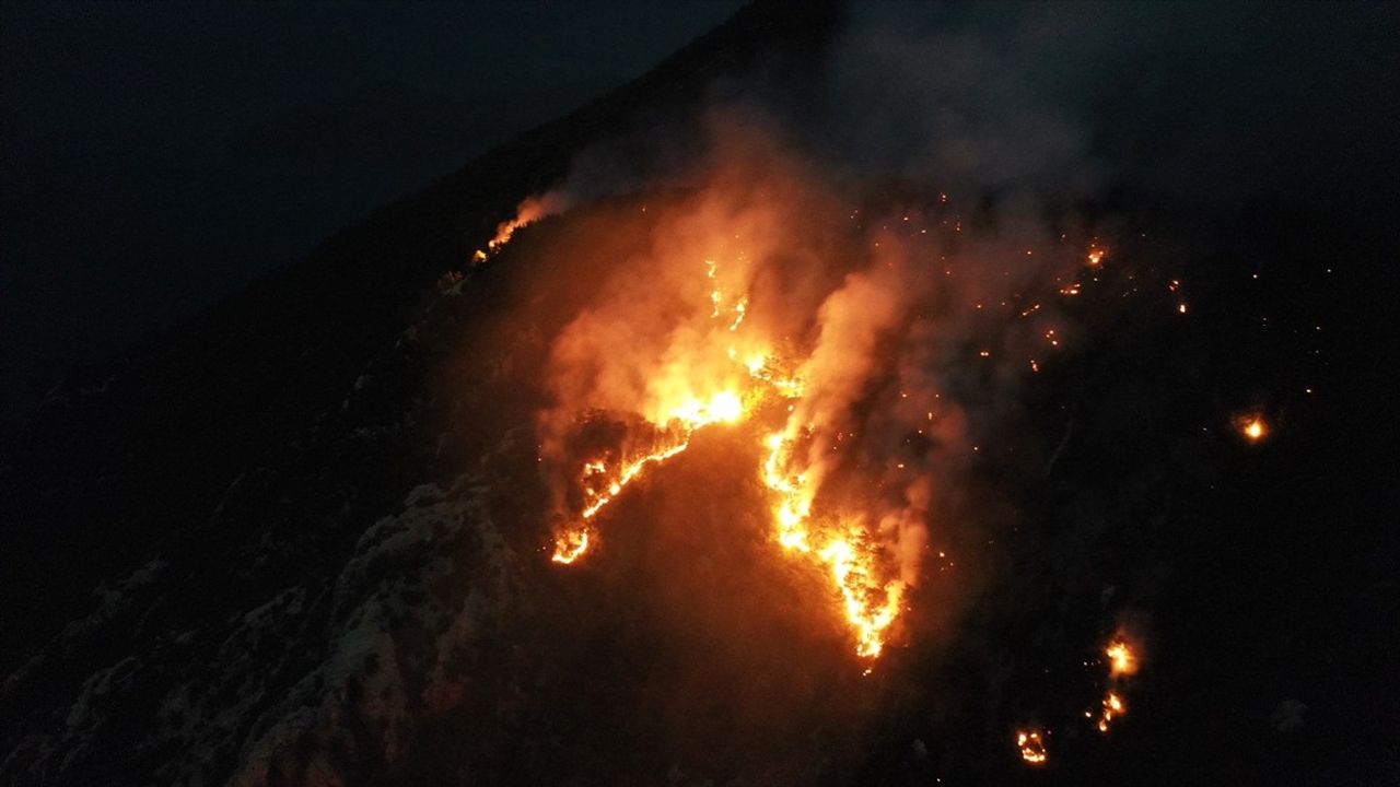 Menteşe'deki Orman Yangınına Çok Yönlü Müdahale