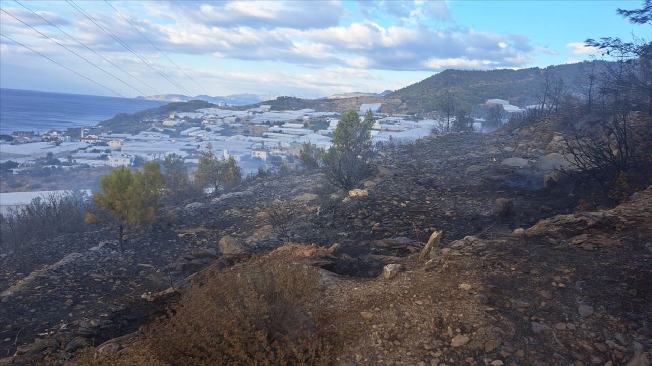Mersin Bozyazı'daki Orman Yangını Kontrol Altına Alındı