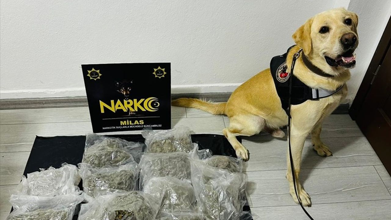 Muğla'da Uyuşturucu Ticareti Operasyonu: 10 Şüpheli Tutuklandı
