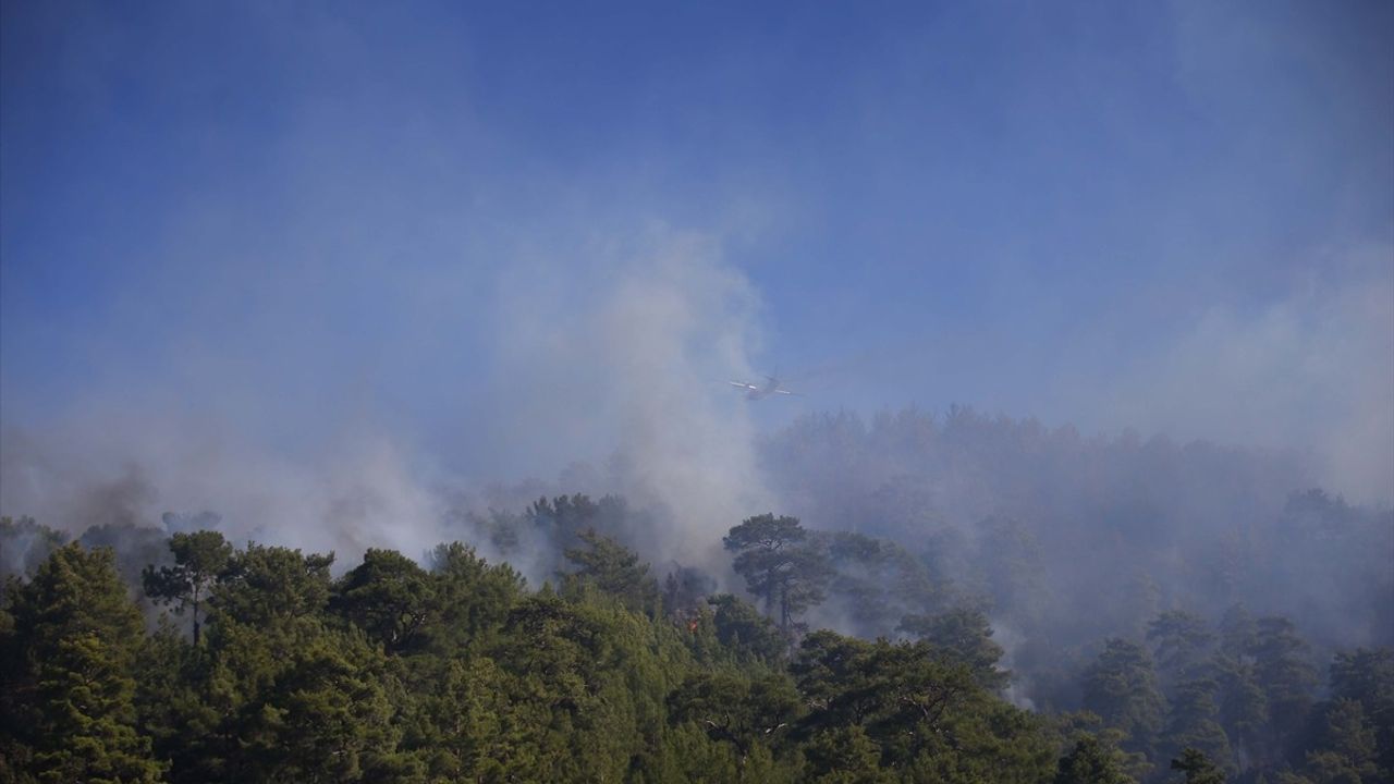 Muğla'daki Orman Yangınlarına Müdahale Devam Ediyor