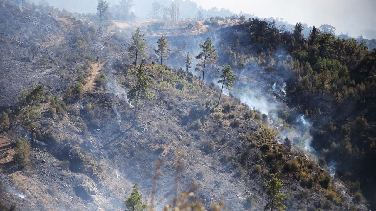 Muğla'daki Orman Yangınlarına Yoğun Müdahale Devam Ediyor