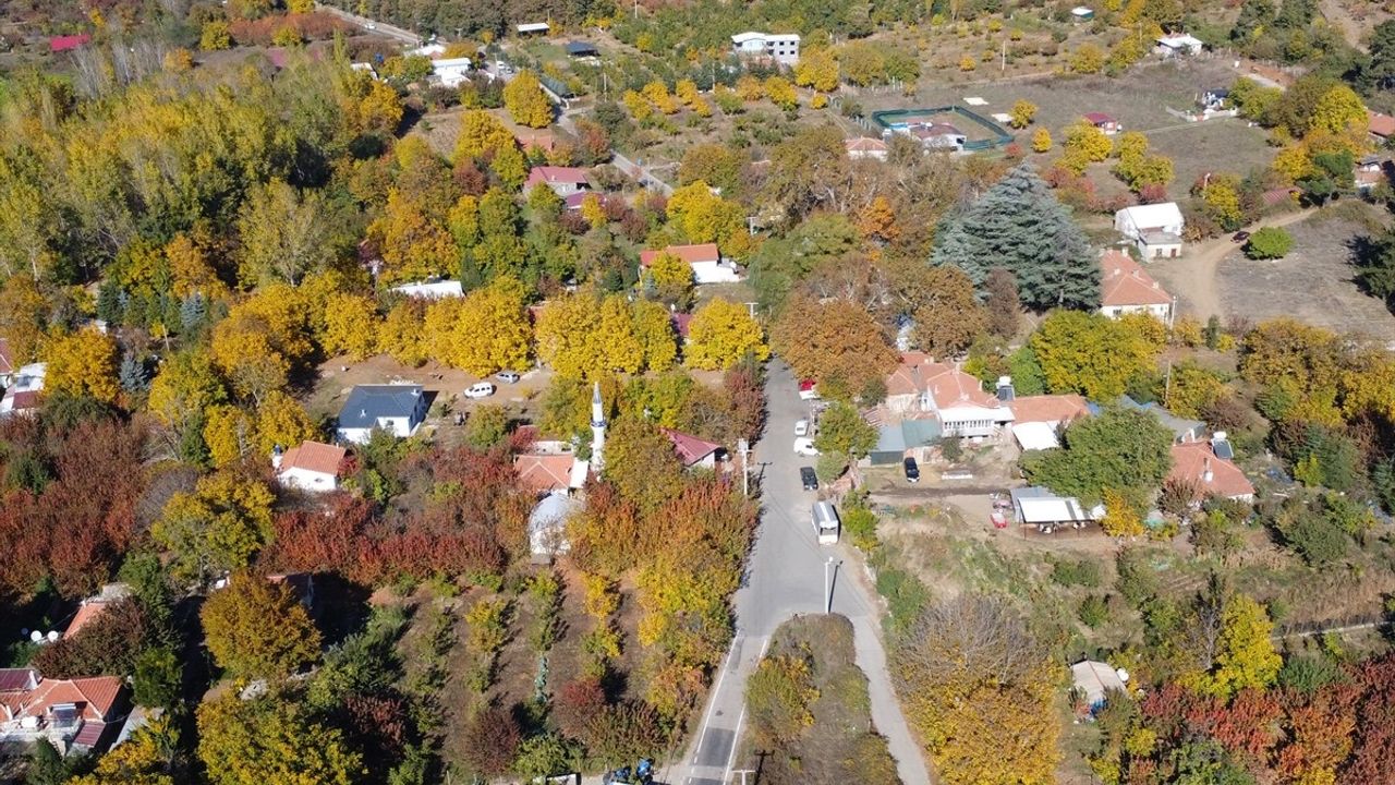 Ovacık Yaylası'nda Sonbahar Renkleri Doğa Severlerle Buluşuyor