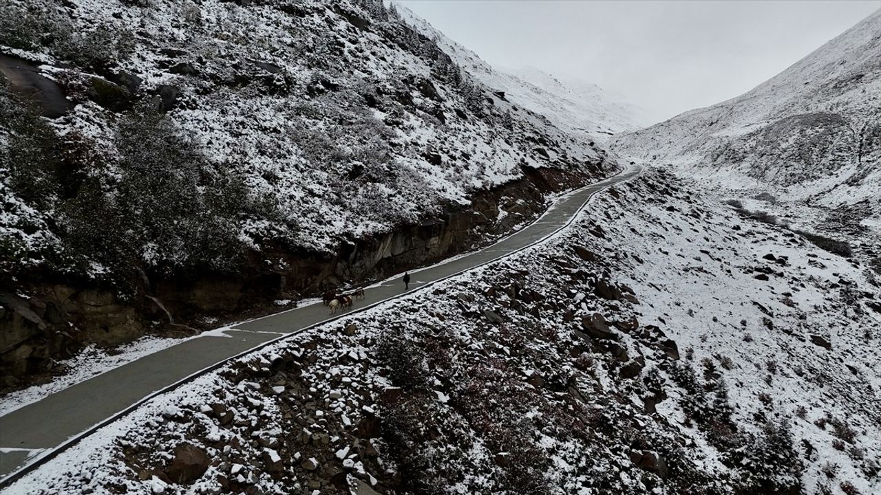 Rize Yaylacılarının Dönüş Yolculuğu