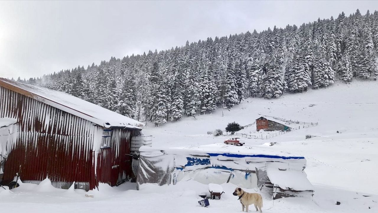 Sinop'un Yüksek Kesimlerinde Mevsimin İlk Karı Görüldü