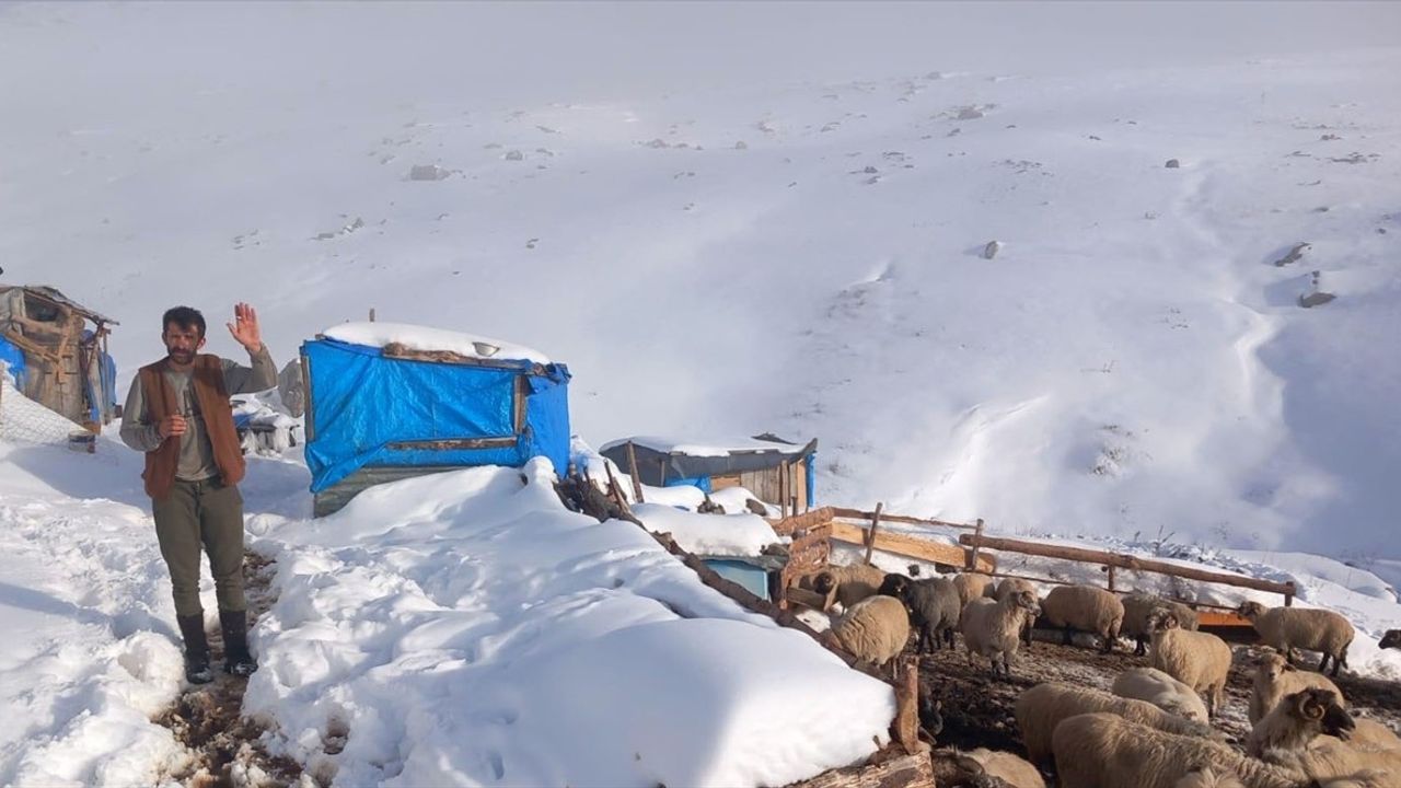 Sivas'ta Kar Mağduru Çoban ve Hayvanlar Kurtarıldı