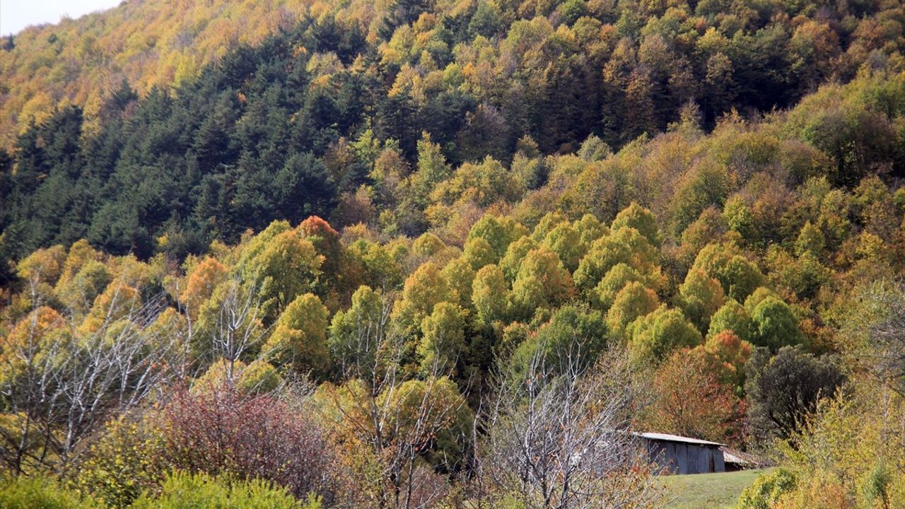 Sivas'ta Sonbahar Güzellikleri