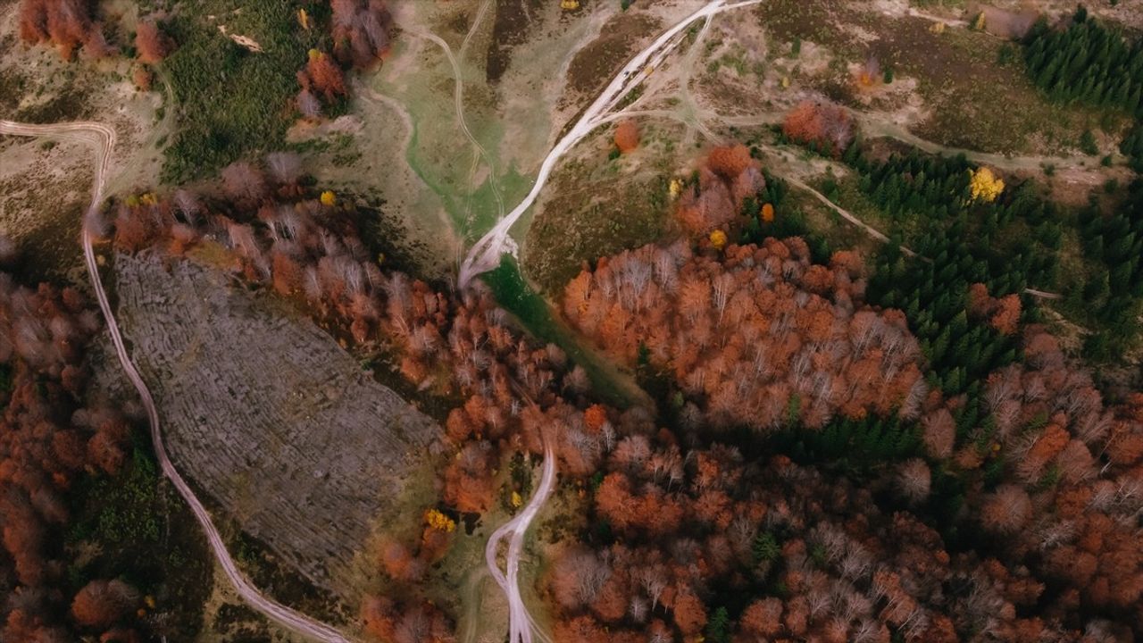 Sonbaharın Büyüsü: Bosna Hersek'in Renkli Manzaraları