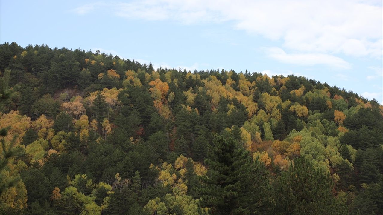 Sonbaharın Renk Cümbüşü: Karagöl Tabiat Parkı