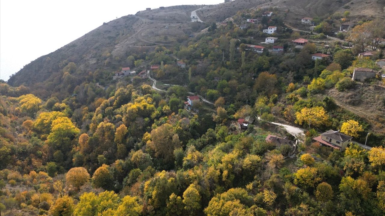 Sonbaharın Renk Cümbüşü: Tekirdağ'da Ganos Dağı Etekleri