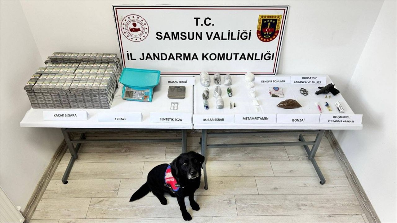 Uyuşturucu Operasyonunda Narkotik Köpeği 'Tahra'nın Başarısı