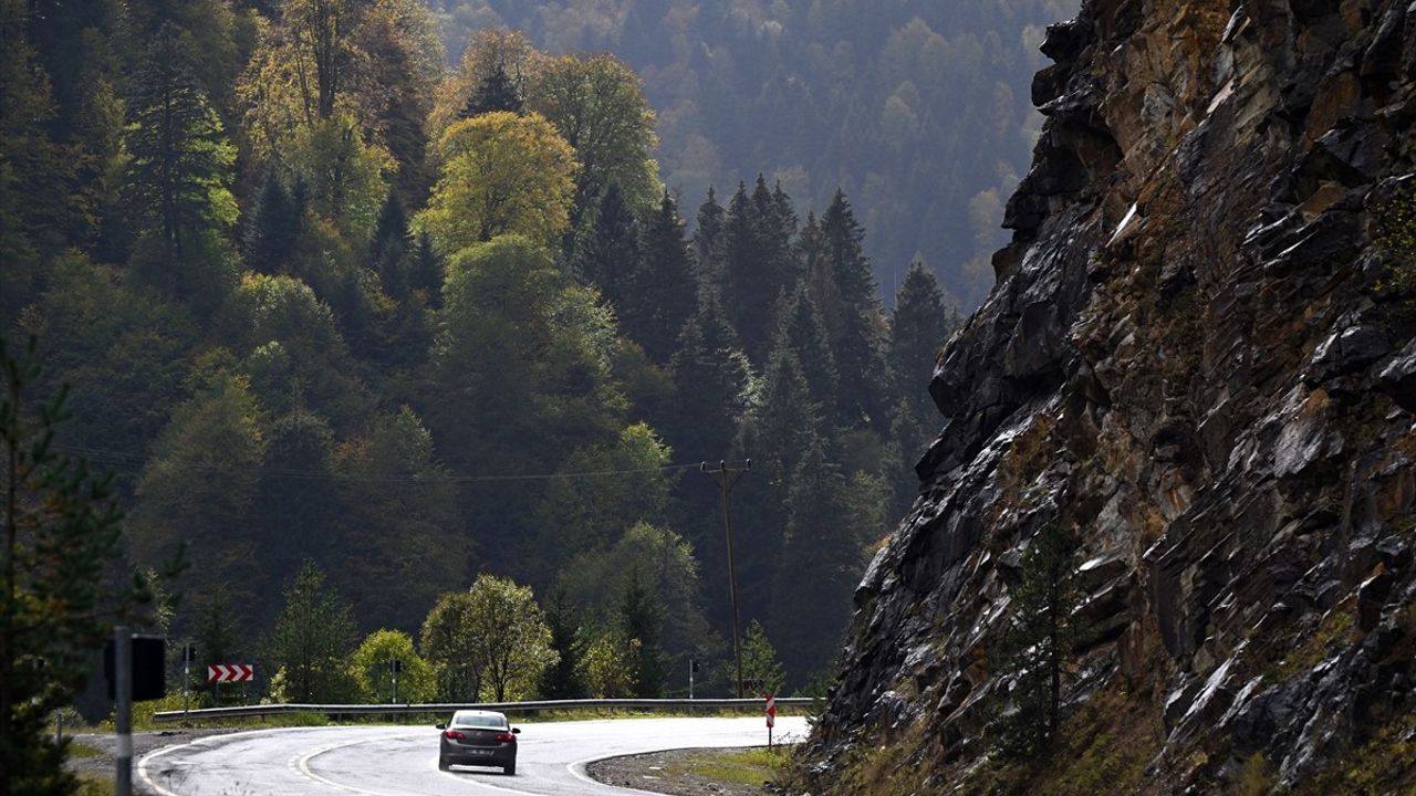 Zigana Dağı'nda Sonbahar Renk Cümbüşü