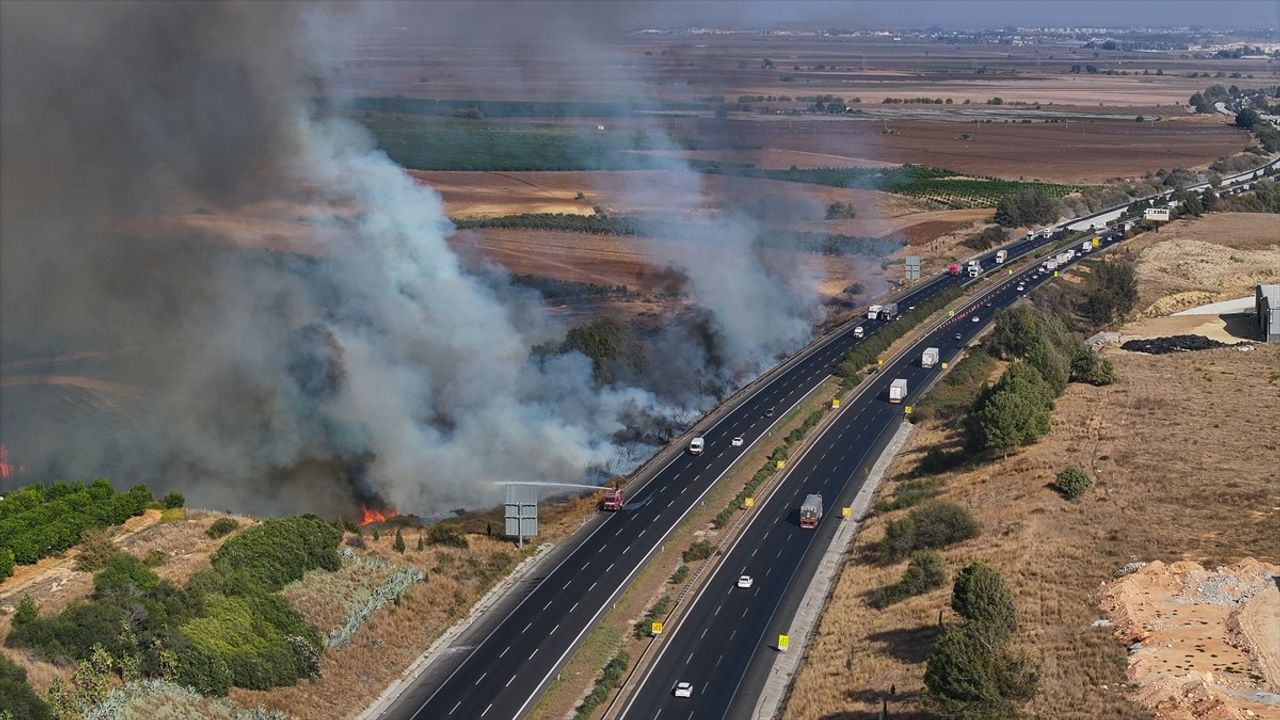 Adana'da Otoyol Kenarındaki Ağaçlık Alanda Yangın Kontrol Altına Alındı