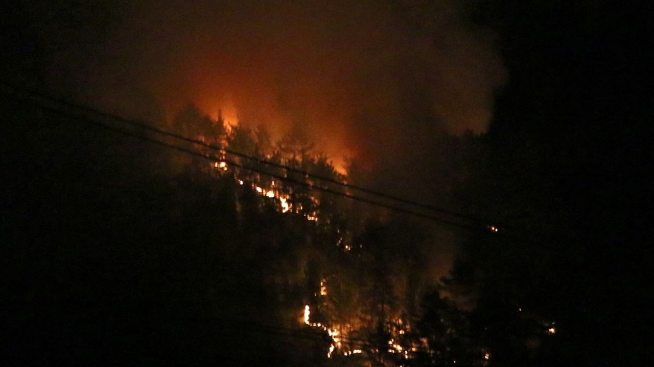 Adana'daki Orman Yangınına Hızla Müdahale Ediliyor