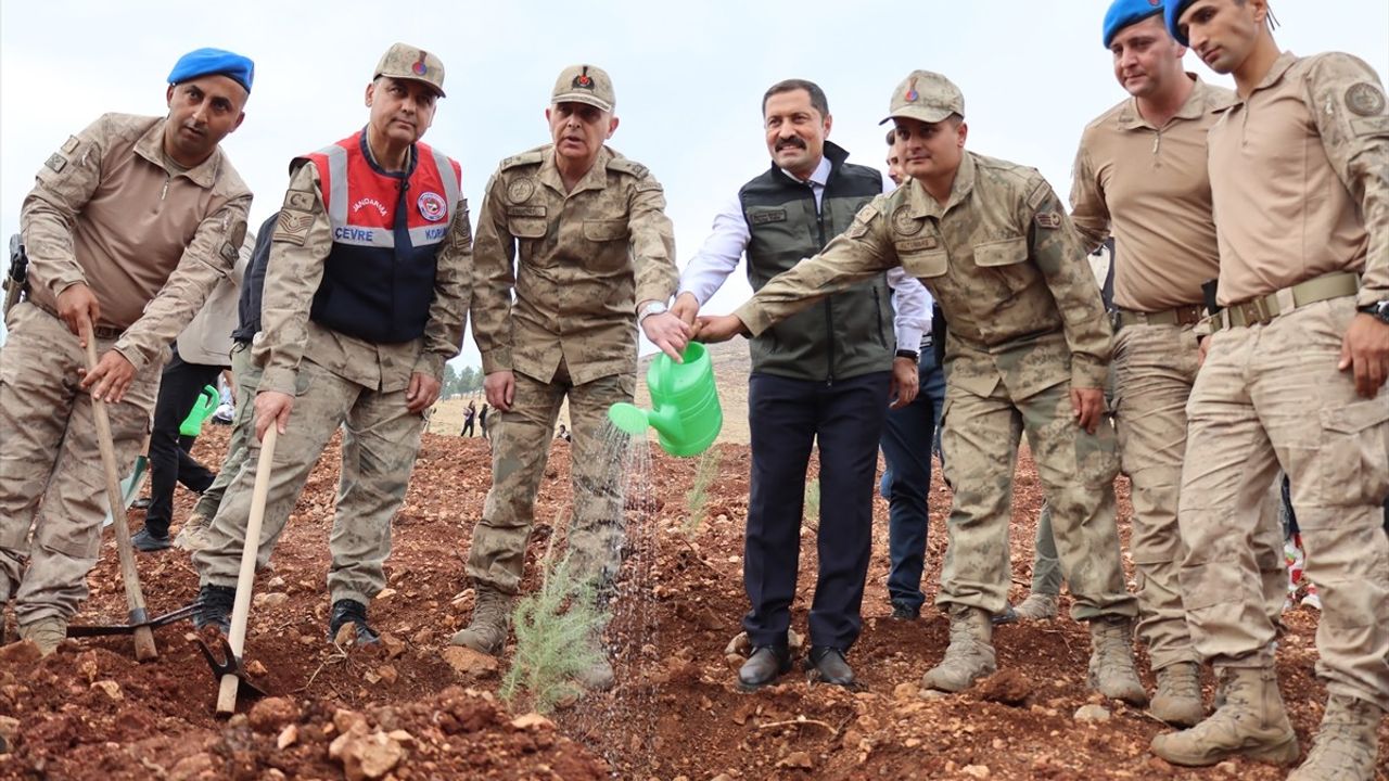 Adana, Mersin, Hatay ve Osmaniye'de 11 Kasım Milli Ağaçlandırma Günü Etkinlikleri