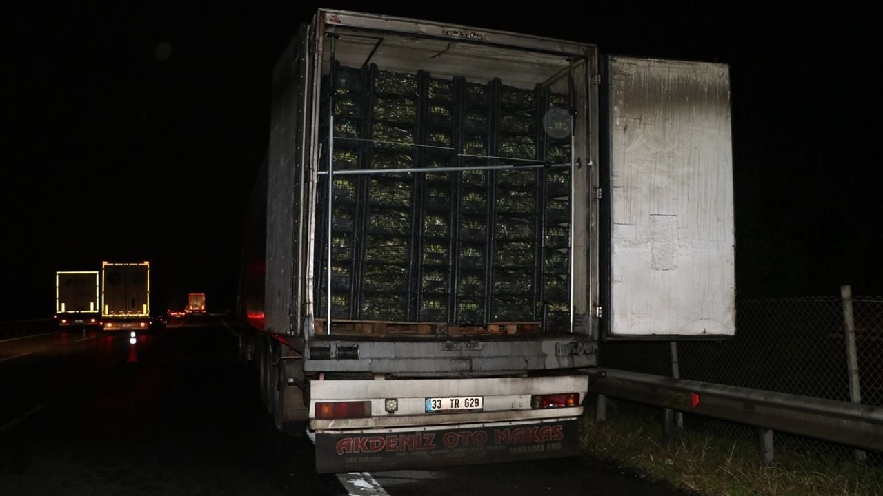 Anadolu Otoyolu'nda Muz Yüklü Tır Yangını: Trafik Aksadı