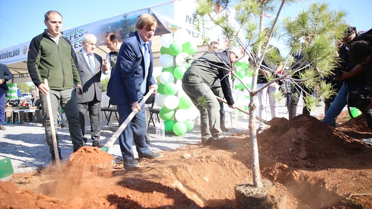 Antalya ve Çevre İllerde Milli Ağaçlandırma Günü Etkinlikleri