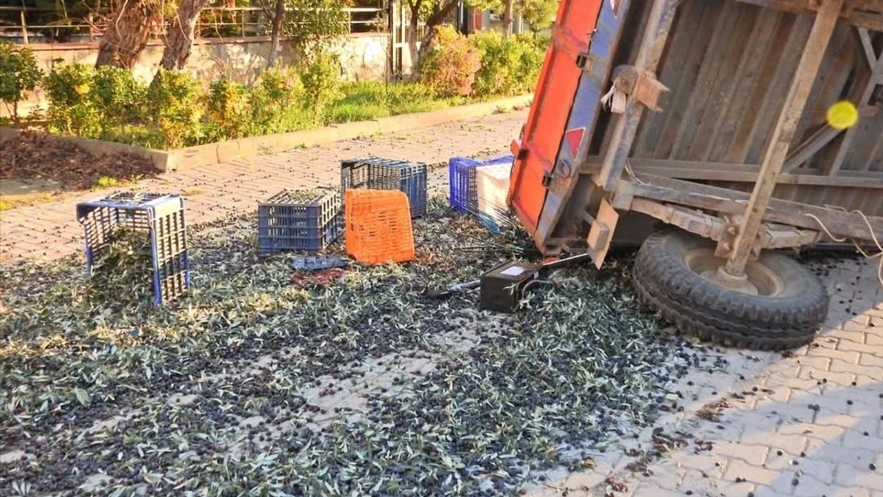 Balıkesir'de Zeytin İşçilerini Taşıyan Traktör Römorku Devrildi: 5 Yaralı