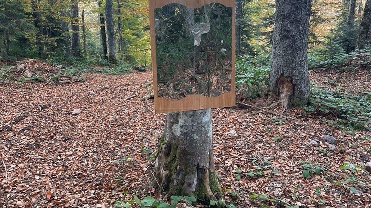 Bartın'da Aynada Kendini Gören Ayının İlginç Tepkisi Kaydedildi