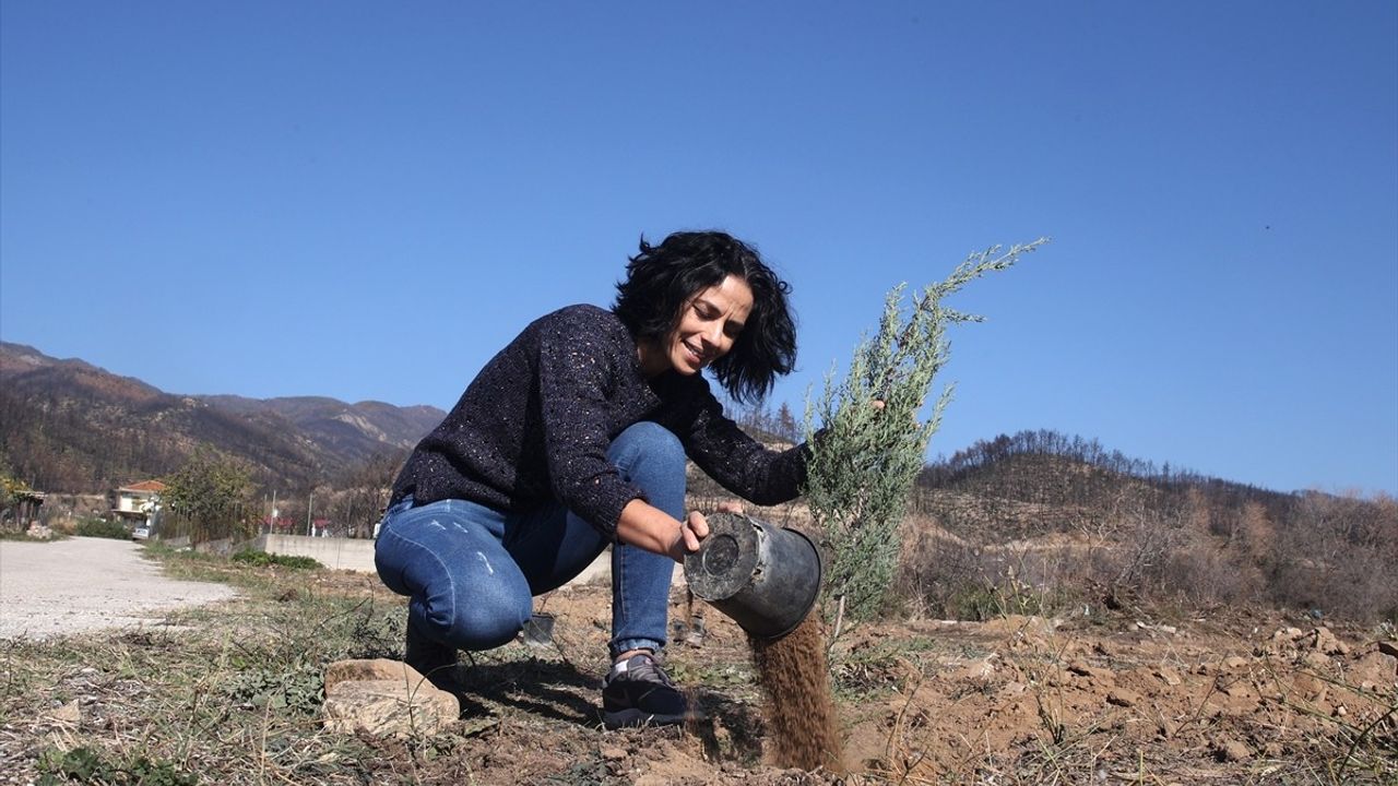Batı Trakya'dan Yangın Sonrası Yeşil Bir Adım