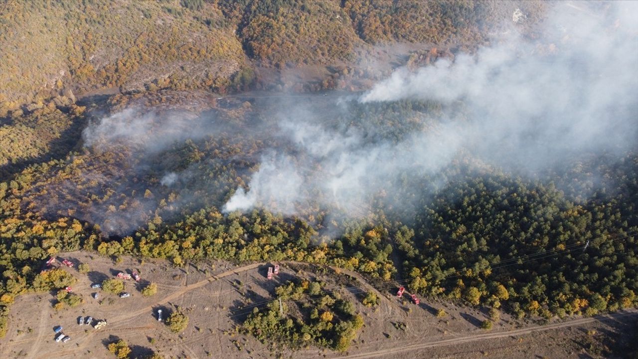 Bilecik'te Orman Yangını Kontrol Altına Alındı