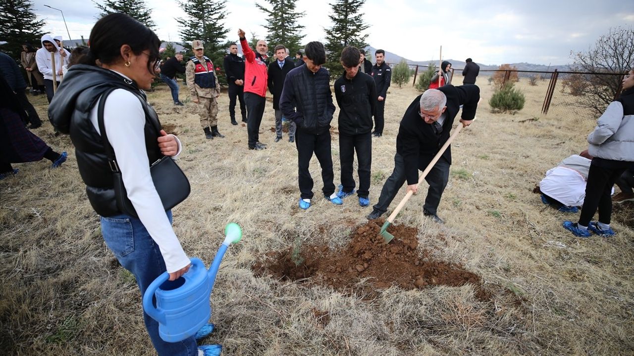 Bingöl'de Dünya Çocuk Hakları Günü Etkinlikleri: 'Çocuk Hakları Durağı' Kuruldu ve Fidan Dikimi Yapıldı