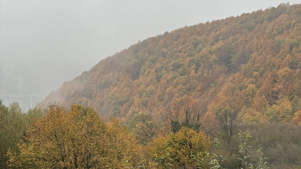 Bolu Dağı'nda Sürücüler, Eşsiz Manzaranın Keyfini Çıkartıyor