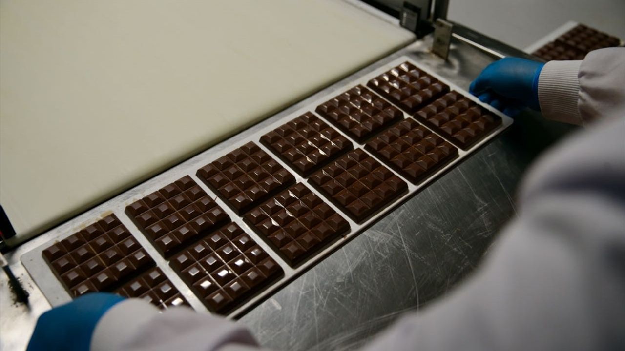 Bolu'dan 1500 Çeşit Çikolata, 61 Ülkeye İhraç Ediliyor