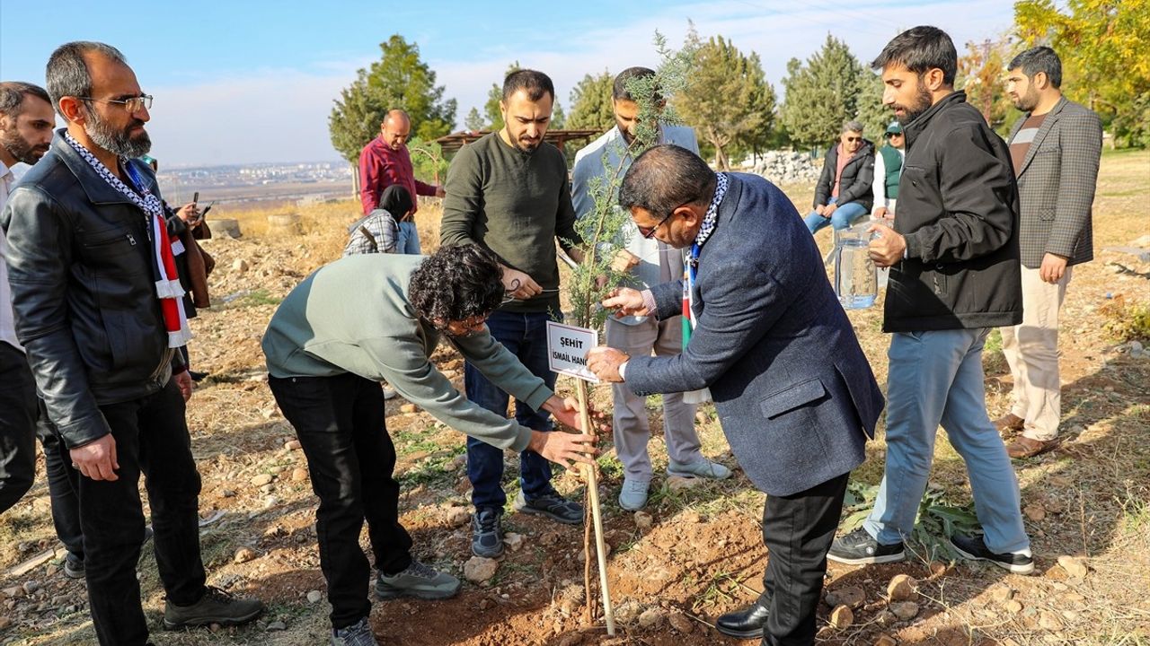 Diyarbakır'da Filistinliler İçin Fidan Dikimi Etkinliği Düzenlendi