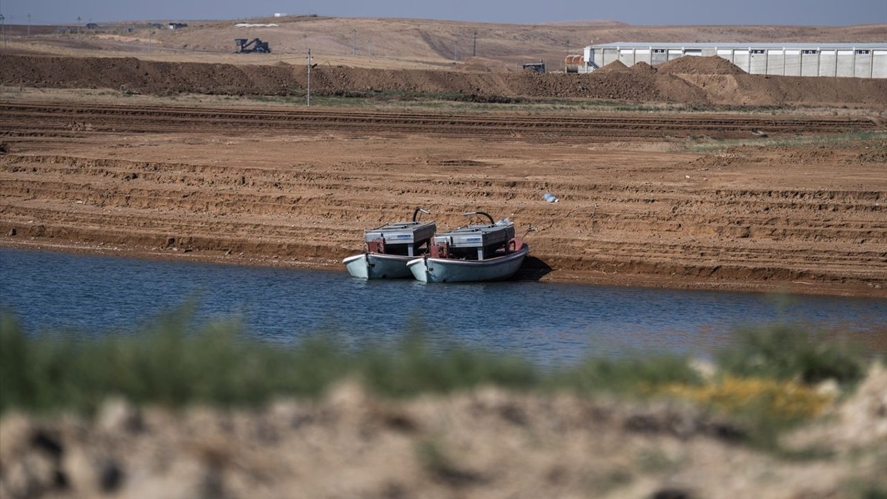 Irak'ın Duhok Kentindeki En Büyük Balık Tesisinde Yıllık 1000 Ton Üretim