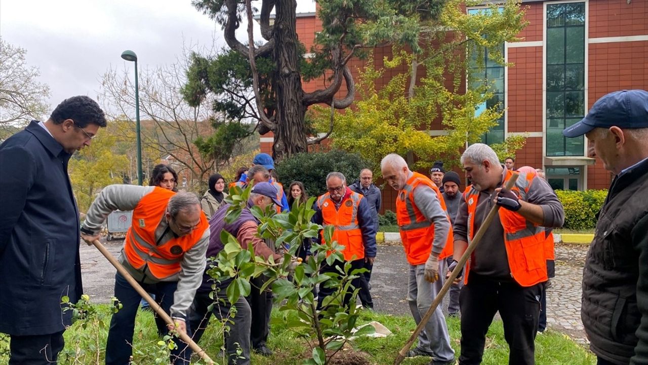 İstanbul Üniversitesi-Cerrahpaşa'da 1071 Fidan Ağaçlandırma Etkinliği