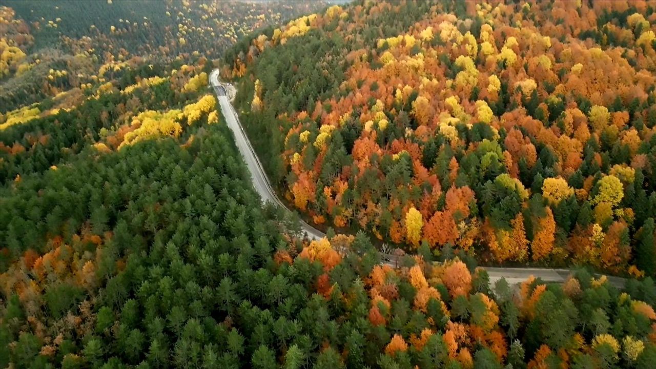 Karabük Ormanları Sonbaharın Renk Cümbüşüyle Büyülüyor