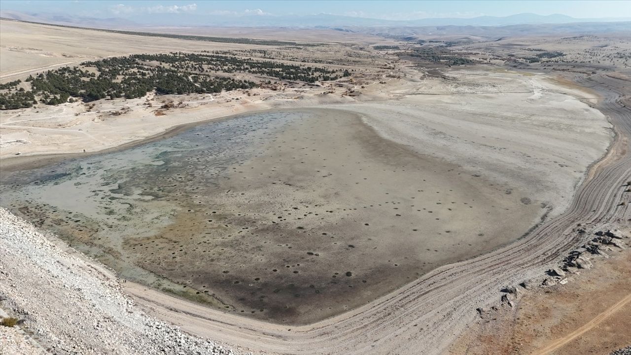Karaman'da Oksijensiz Kalan Balıklar Telef Oldu