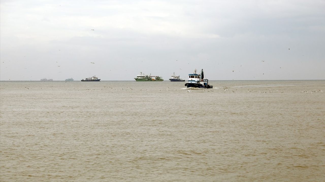 Karasu'daki Sığlaşma Nedeniyle Hamsi Tekneleri Limanlara Yönlendirildi