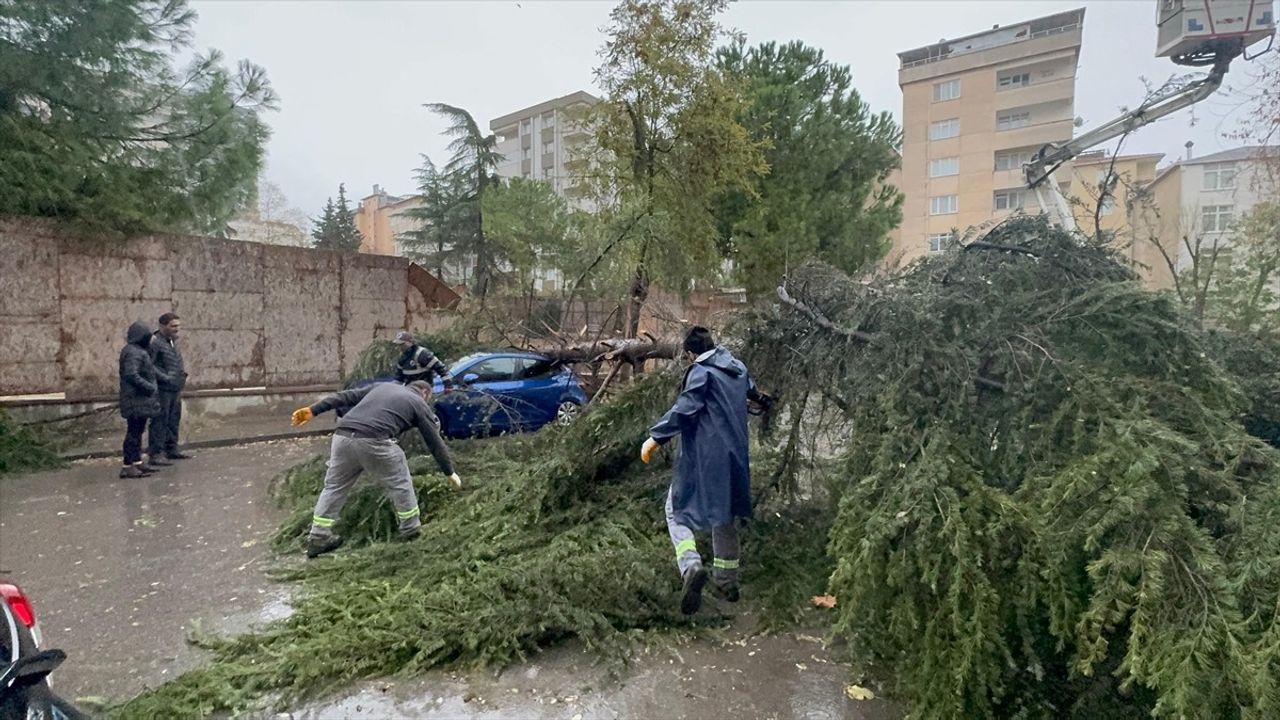 Kartal'da Şiddetli Fırtına Ağaç Devrilmesine Neden Oldu