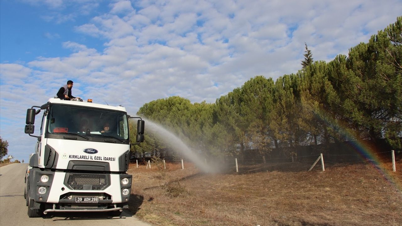 Kırklareli'nde Çıkan Orman Yangını Kontrol Altına Alındı