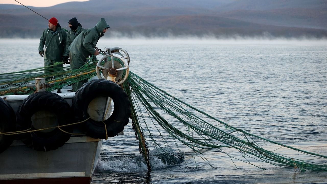 Kıyıköy'de Çinekop ve İstavrit Bolluğu