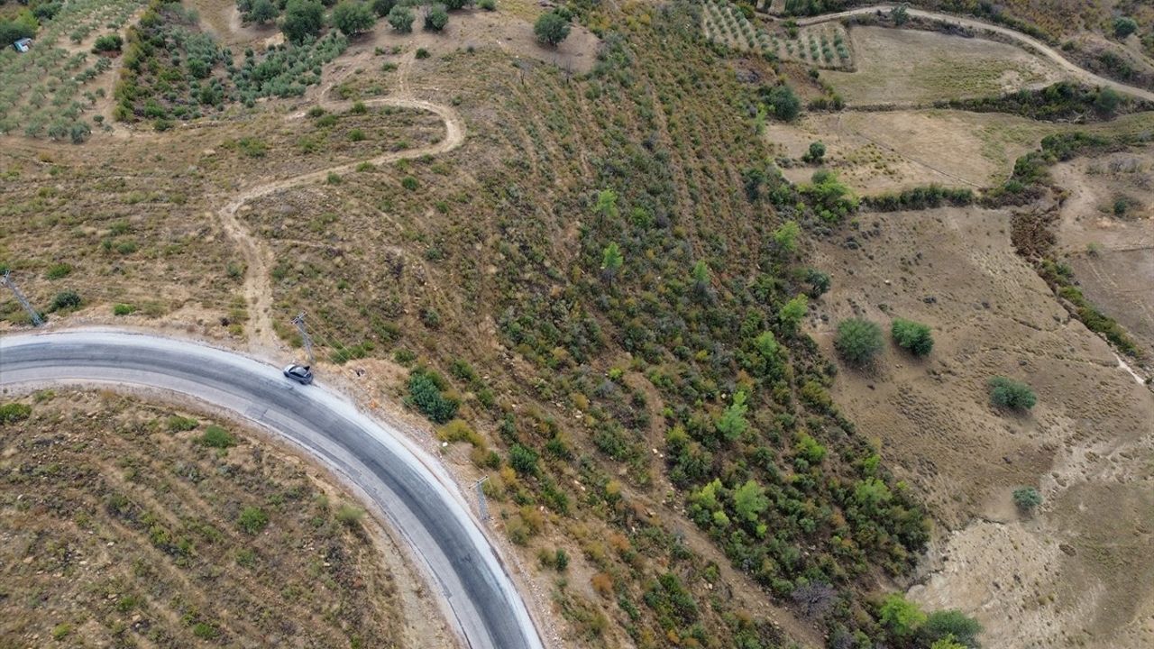 Manavgat’ta Orman Yangınlarının Ardından Sonbahar Renkleri Belirdi